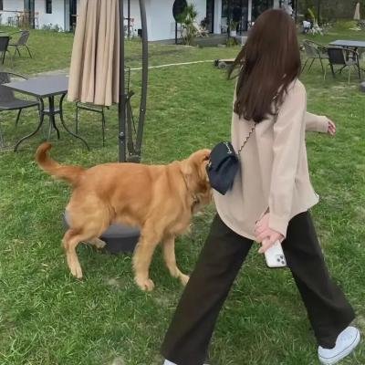 生人回避3